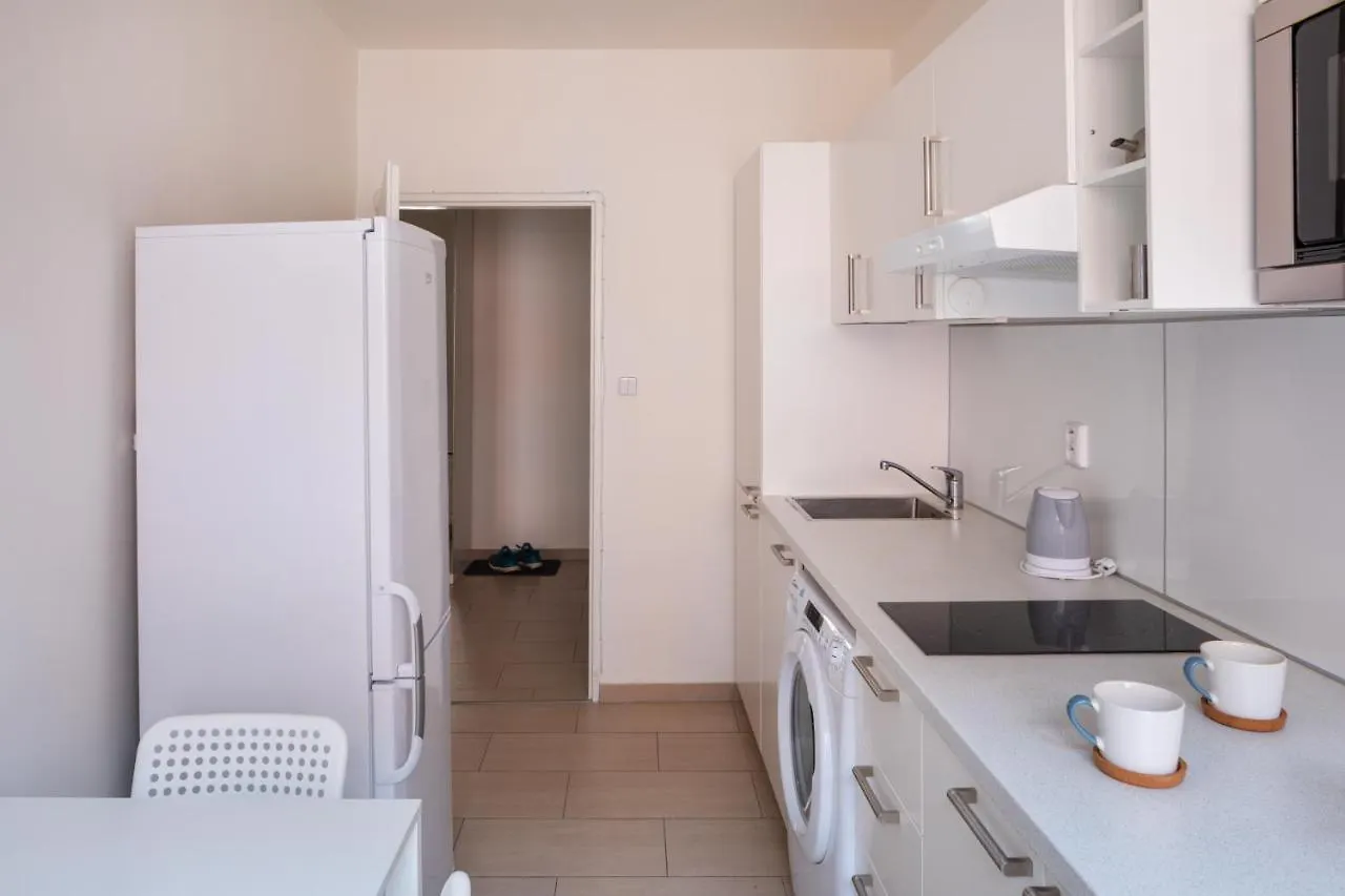 Homey Flat In Vinohrady By Prague Days Apartment
